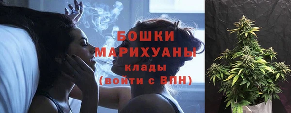 бошки Алзамай