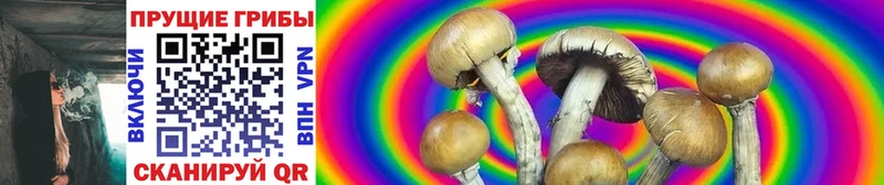 наркошоп Новоаннинский Псилоцибиновые грибы Psilocybine cubensis